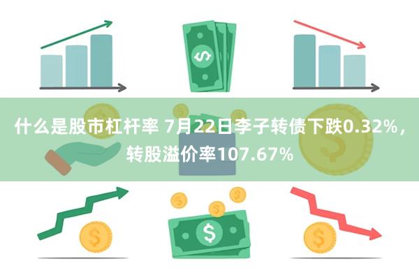 什么是股市杠杆率 7月22日李子转债下跌0.32%，转股溢价率107.67%