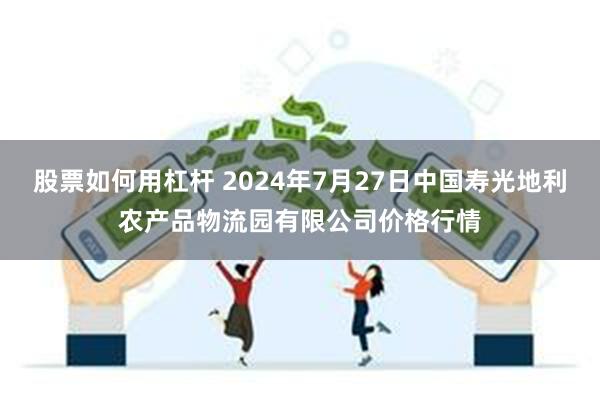 股票如何用杠杆 2024年7月27日中国寿光地利农产品物流园有限公司价格行情