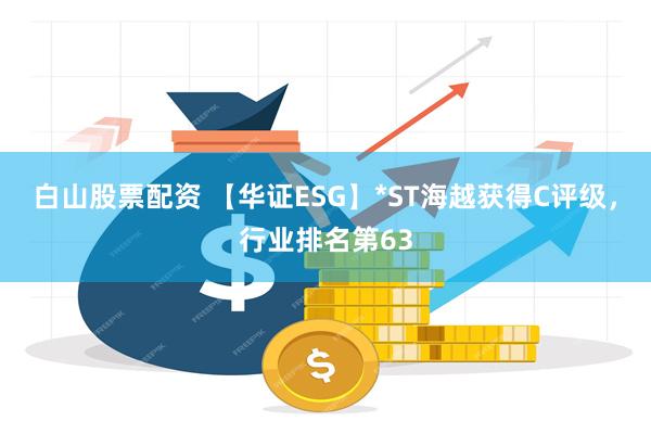 白山股票配资 【华证ESG】*ST海越获得C评级，行业排名第63