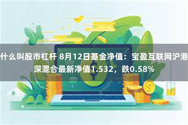 什么叫股市杠杆 8月12日基金净值：宝盈互联网沪港深混合最新净值1.532，跌0.58%