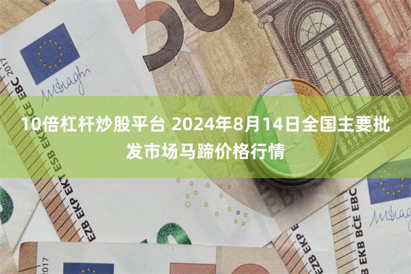 10倍杠杆炒股平台 2024年8月14日全国主要批发市场马蹄价格行情