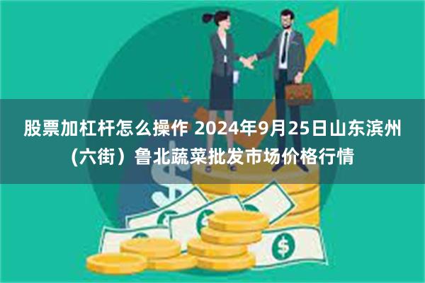 股票加杠杆怎么操作 2024年9月25日山东滨州(六街）鲁北蔬菜批发市场价格行情