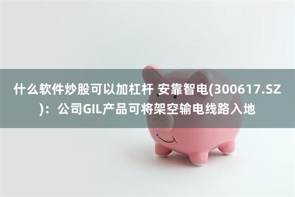 什么软件炒股可以加杠杆 安靠智电(300617.SZ)：公司GIL产品可将架空输电线路入地