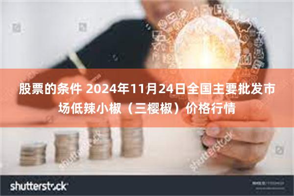 股票的条件 2024年11月24日全国主要批发市场低辣小椒（三樱椒）价格行情