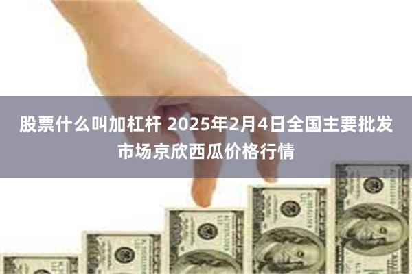 股票什么叫加杠杆 2025年2月4日全国主要批发市场京欣西瓜价格行情