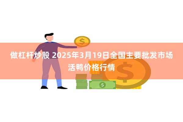 做杠杆炒股 2025年3月19日全国主要批发市场活鸭价格行情